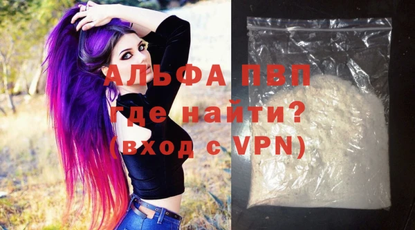 стафф Алексин