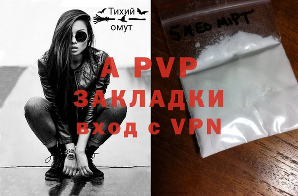 стафф Алексин