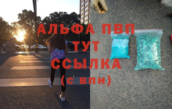 стафф Алексин