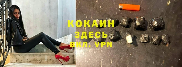 стафф Алексин