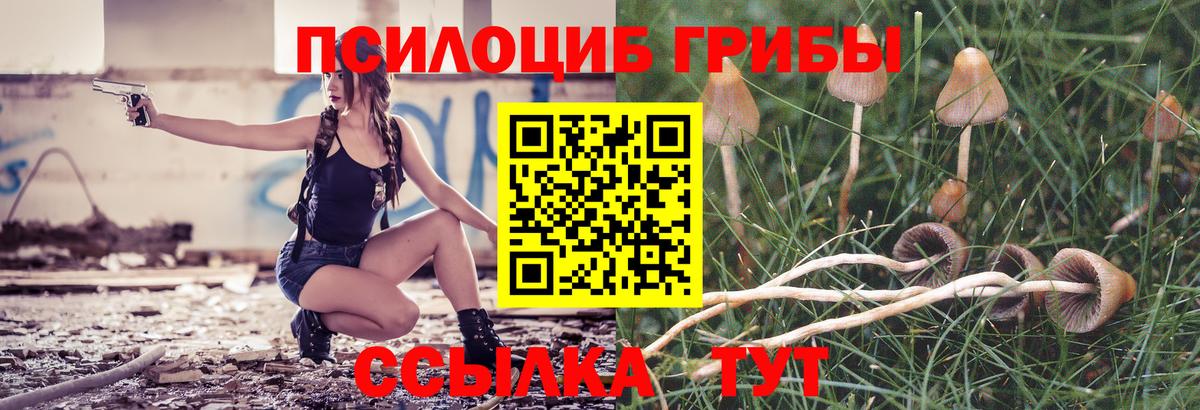 Галлюциногенные грибы ЛСД  Вход с VPN  Шадринск 